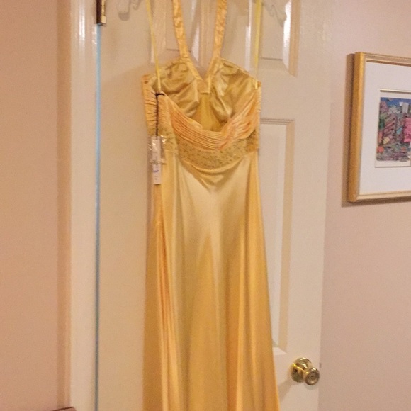 BNWT beautiful designer formal dress - Picture 5 of 5